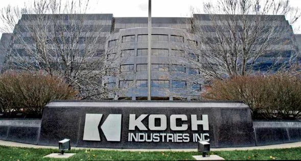 Koch Internship 2025
