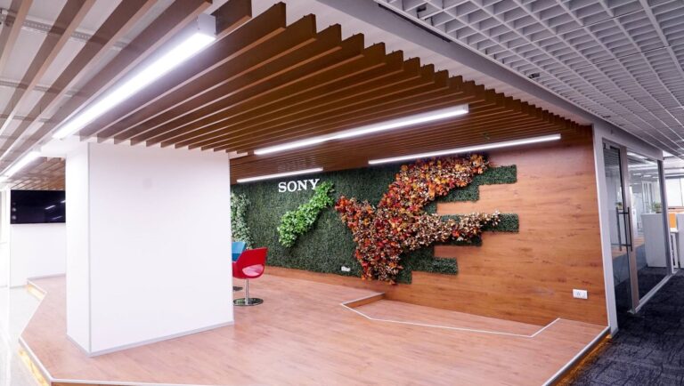 SONY Data Science Work From Home Internship