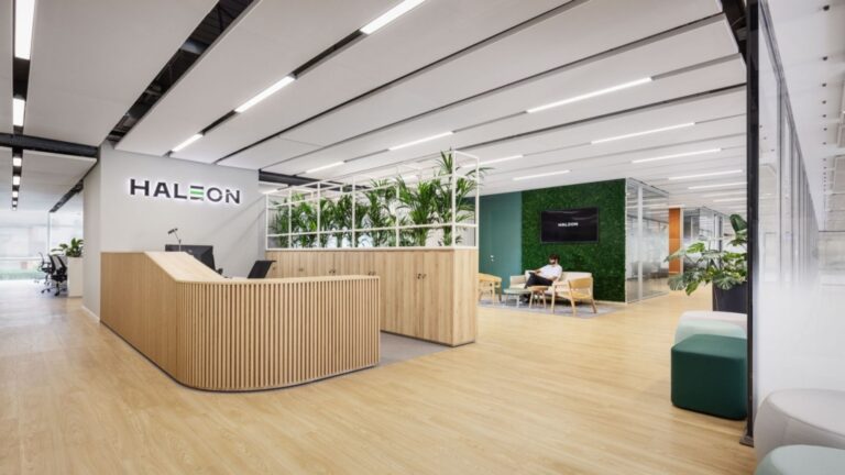 Haleon Business Analytics Summer Internship 2025