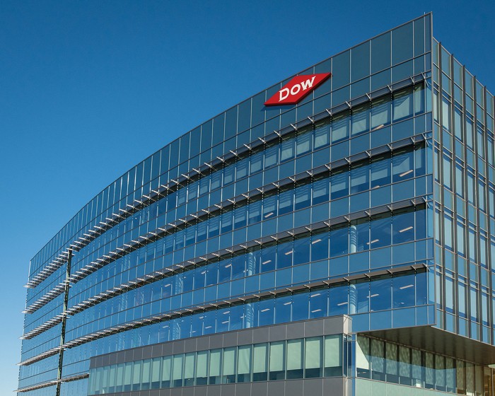 Dow Internship Program