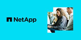 Business Quality Analyst Job Openings At NetApp | Bengaluru