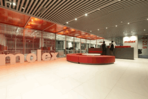 Molex Recruitment Program