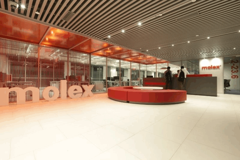 Molex Recruitment Program
